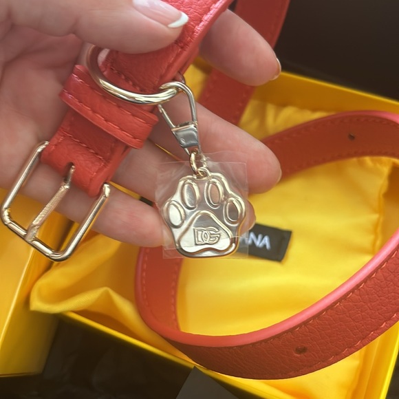 🔥 NEW LIMITED EDITON FÈFÈ DOLCE GABBANA M/L dog COLLAR AND FRAGRANCE - Picture 8 of 9